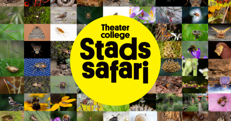 Stadssafari (6+) Theatercollege van de makers van ‘De Nieuwe Wildernis’ en ‘De Wilde Noordzee’ — theater in Bergen op Zoom